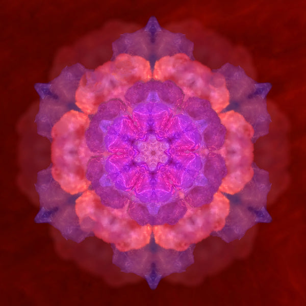 A vibrant, six-pointed digital mandala in shades of magenta, pink, and violet, featuring a translucent, crystalline texture. The design is centered on a dark, textured crimson background